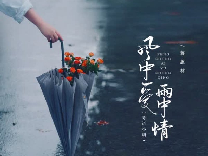 风中爱雨中情 (粤语小调) (Single)