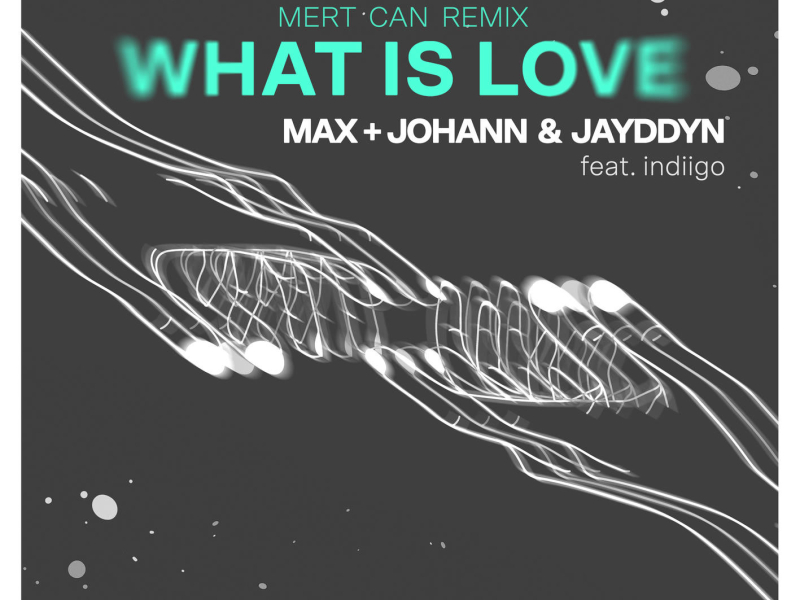 What Is Love (Mert Can Remix) (Single)
