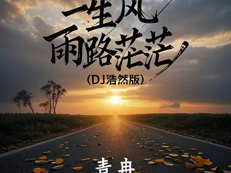 一生风雨路茫茫 (Dj浩然版) (Single)