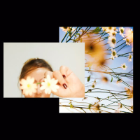 Escondida En Tu Jardin (Single)