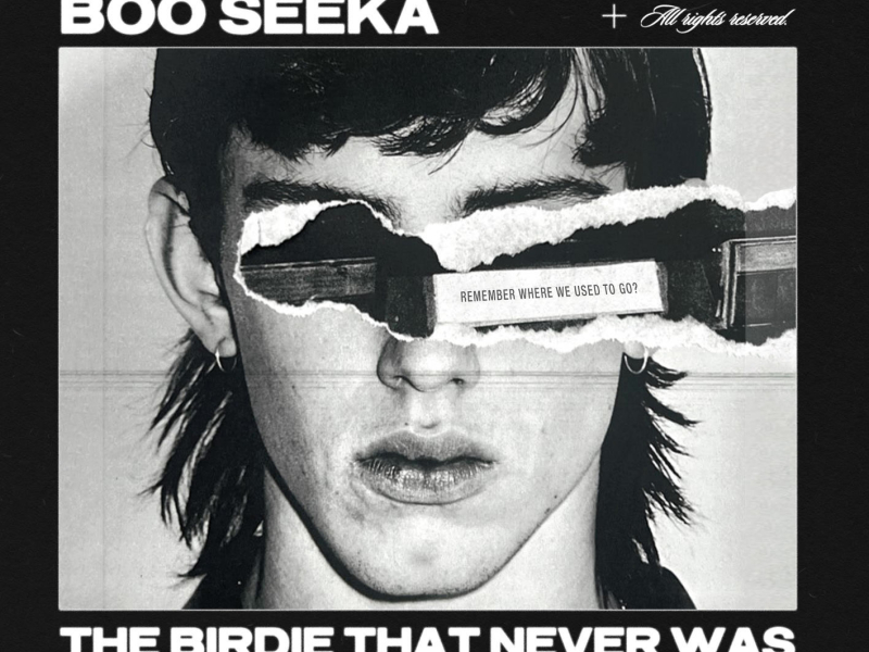 The Birdie That Never Was (Single)