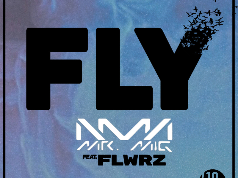 Fly (Single)