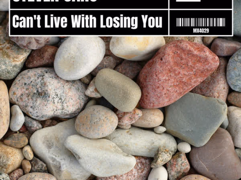 Can't Live with Losing You (Single)