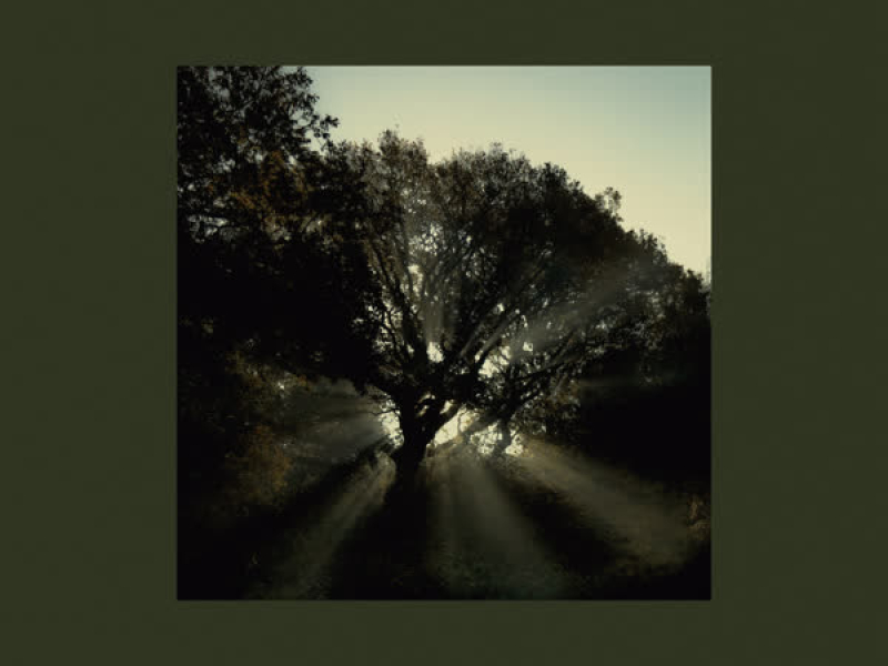 In the Morning Light (Single)