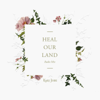 Heal Our Land (Radio Mix) (Single)
