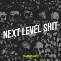 next level shit (Single)