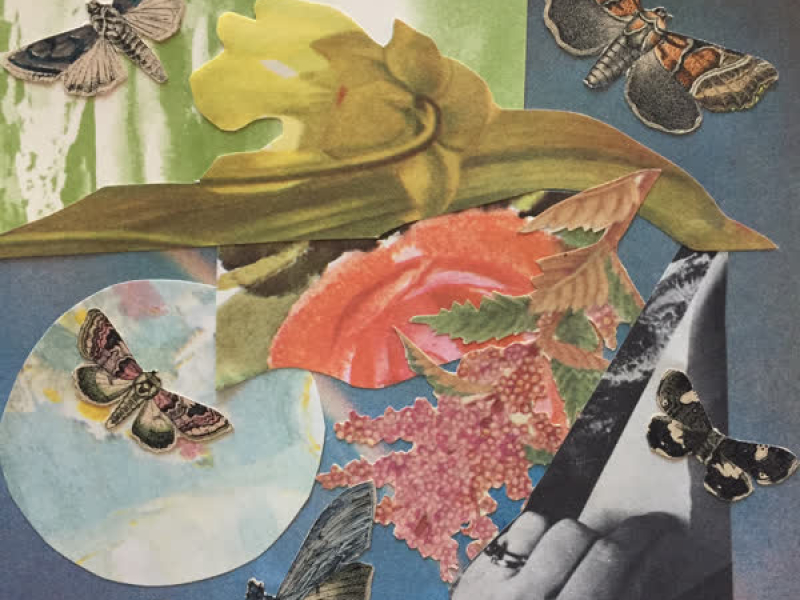 Over My Shoulder (Single)