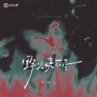 野火烧不尽 (Single)