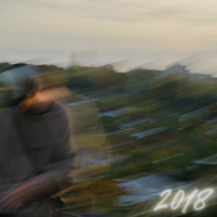 2018 (Single)