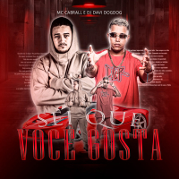 SEI QUE VOCÊ GOSTA (Single)