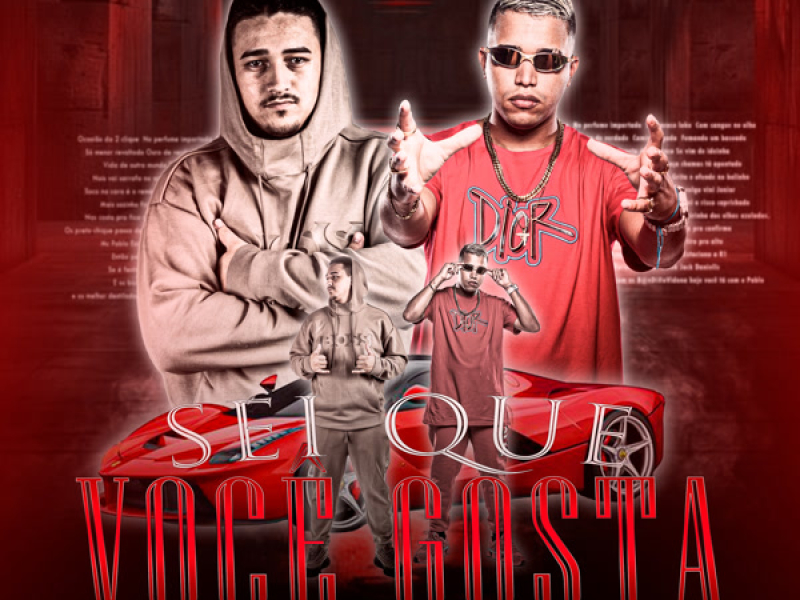 SEI QUE VOCÊ GOSTA (Single)