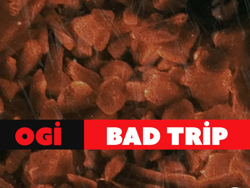 Bad Trip (Single)