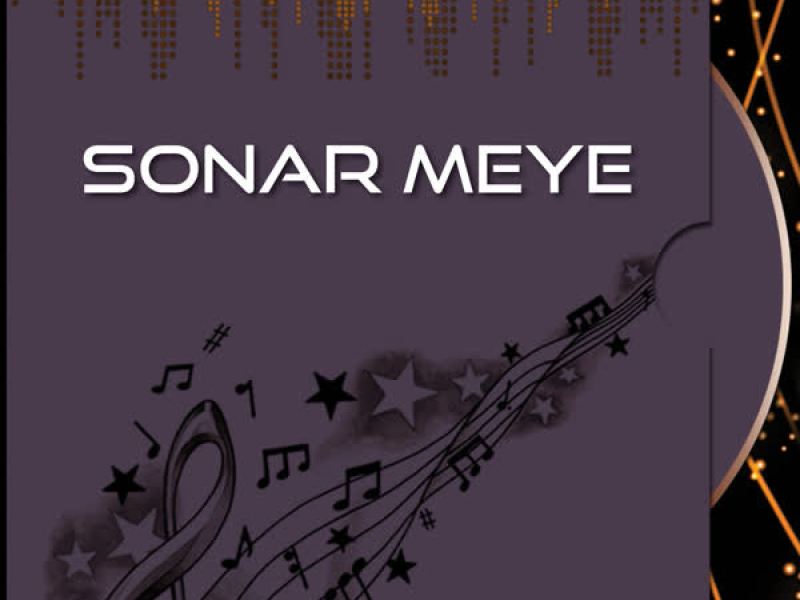 Sonar Meye