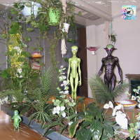 Alien's Dessert (Single)