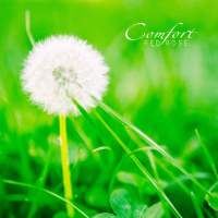 Comfort (Single)