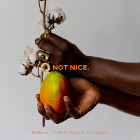 Not Nice (Single)