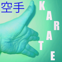 Musique pour Karaté Vol. 8 (Single)