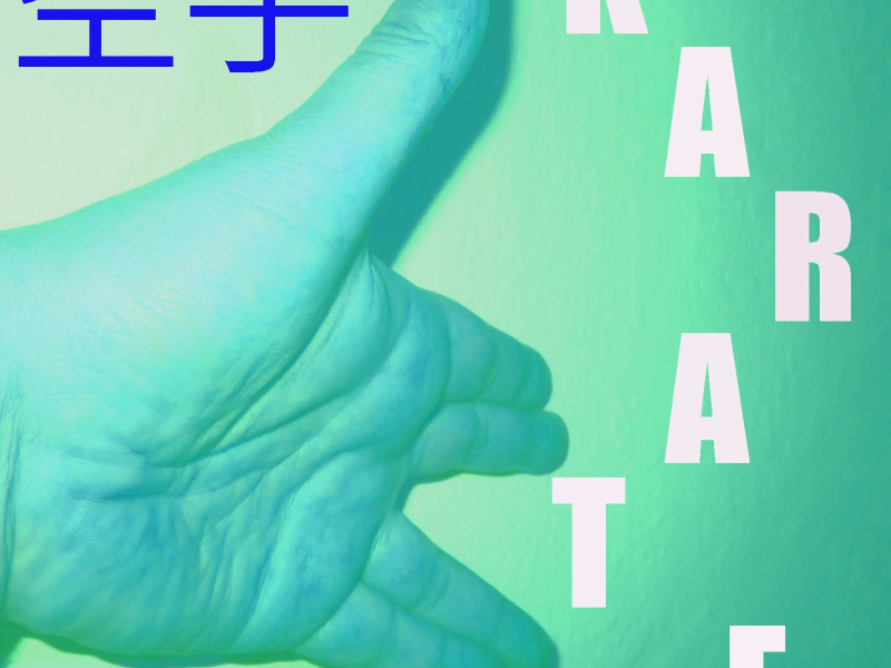 Musique pour Karaté Vol. 8 (Single)