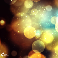 Magic Box | Tree Shadow (Single)