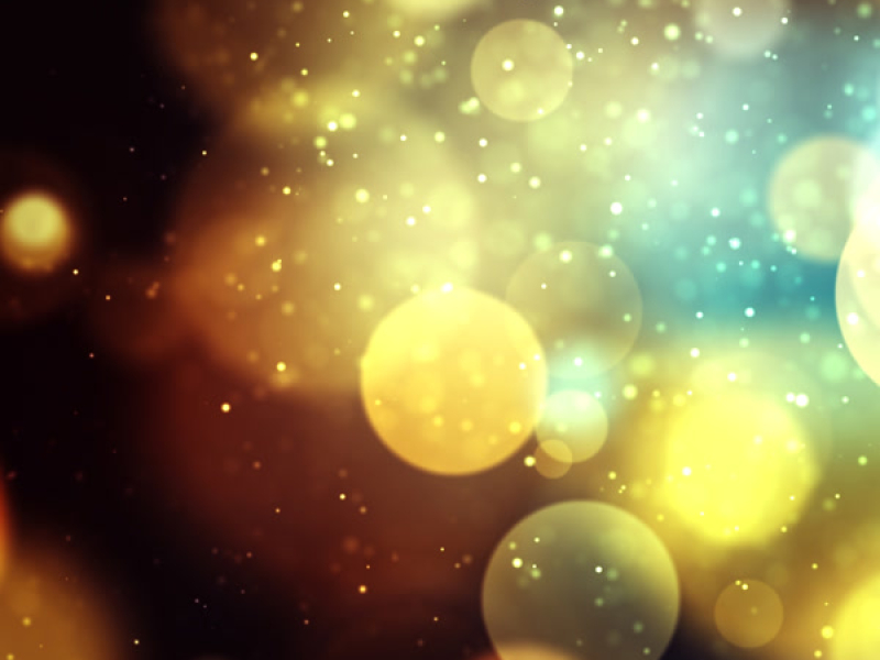 Magic Box | Tree Shadow (Single)