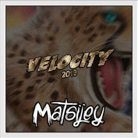 Velocity 2019 (Single)