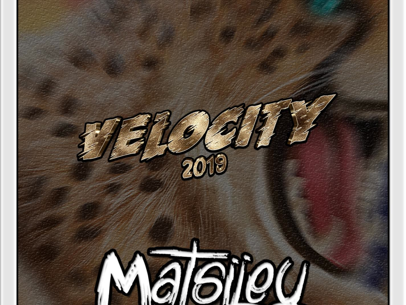 Velocity 2019 (Single)