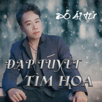 Đạp Tuyết Tìm Hoa (Beat) (Single)