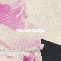 Wonderful (Single)