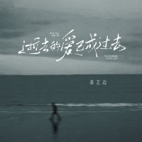 逝去的爱已经过去 (Single)