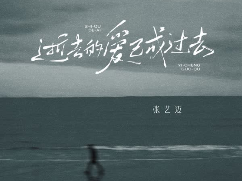 逝去的爱已经过去 (Single)