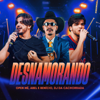 Desnamorando (Ao Vivo) (Single)