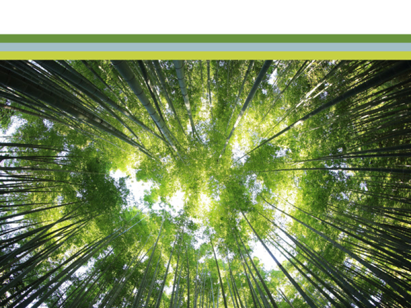 Sam’s Melody (Single)