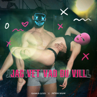 JAG VET VAD DU VILL (Single)