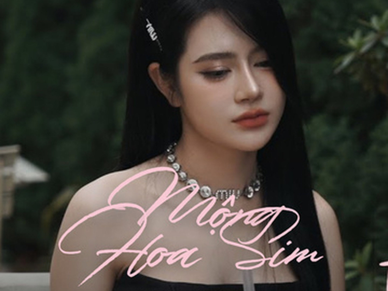 Mộng Hoa Sim (DJ Bibo Remix) (Single)
