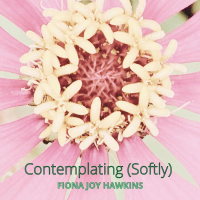 Contemplating (Softly) (Single)