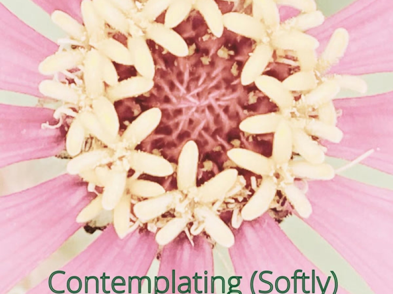 Contemplating (Softly) (Single)