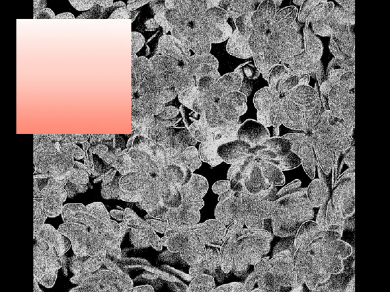 begin again (HEALTH Remix) (Single)