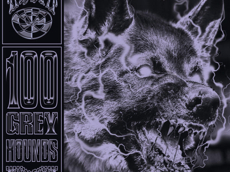 100 Grey Hounds