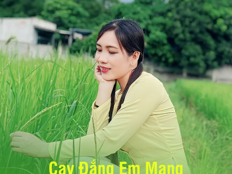 Cay Đắng Em Mang