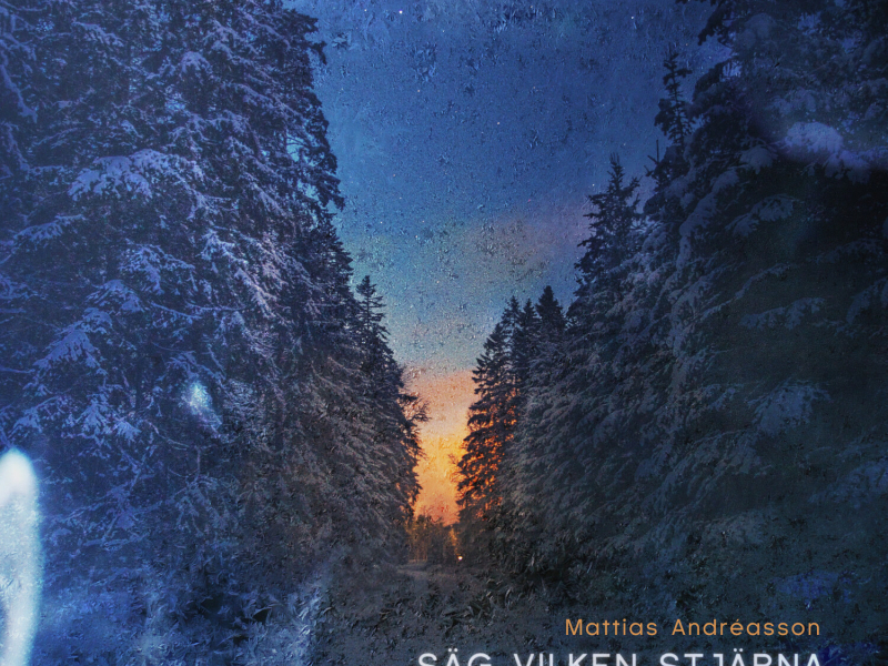 Säg vilken stjärna du vill tända (Single)