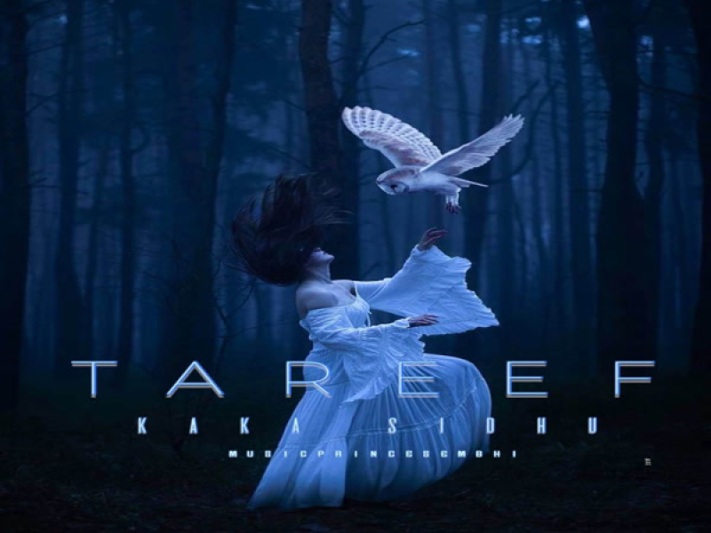 Tareef (Single)