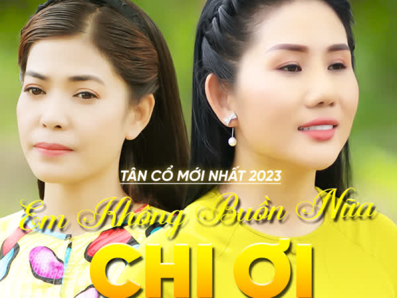 Tân Cổ Em Không Buồn Nữa Chị Ơi (Single)