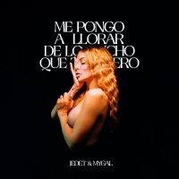 ME PONGO A LLORAR DE LO MUCHO QUE TE QUIERO (Single)