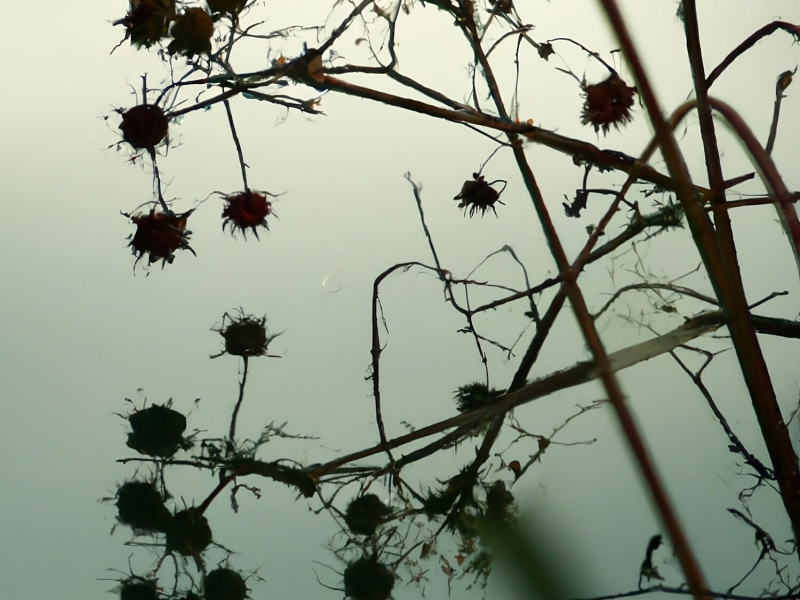 Warning Signs (Single)