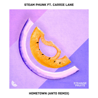 Hometown (Anto Remix) (Single)