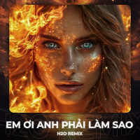 Em Ơi Anh Phải Làm Sao (Remix House) (Single)