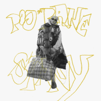 Poj*bane Stany (Single)