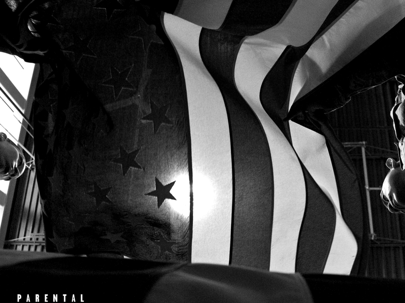 Black Man in America