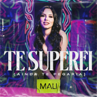 Te Superei (Ainda Te Pegaria) (Single)