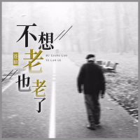 不想老也老了 (Dj浩然版) (Single)